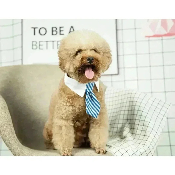Adjustable Formal Collar Neck Tie for Dogs & Cats Blue & Tan - Picture 1 of 5